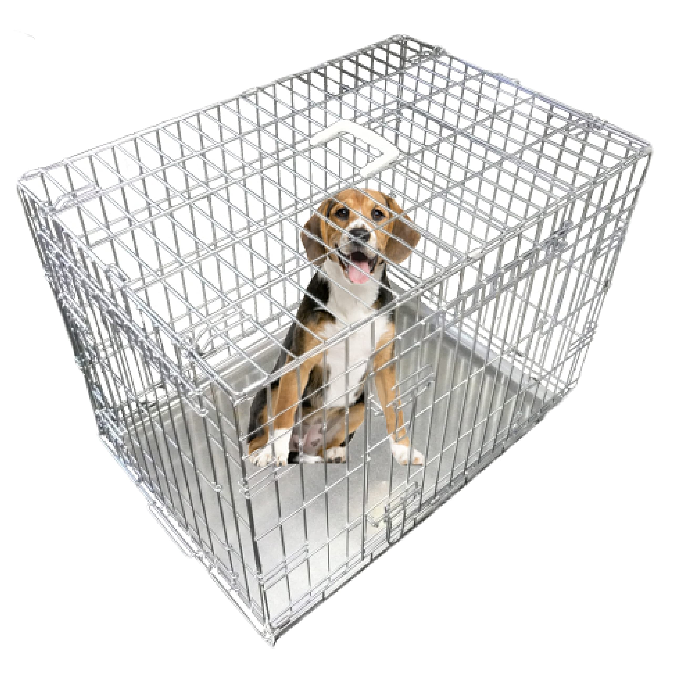 ellie bo puppy crate