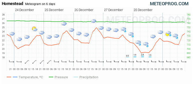 homestead weather hourly