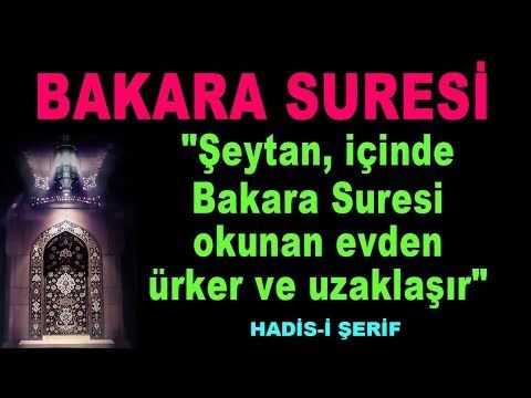 bakara suresi canlı dinle