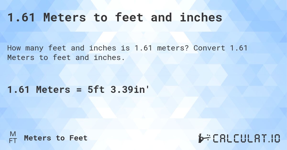 1.61 meters to feet