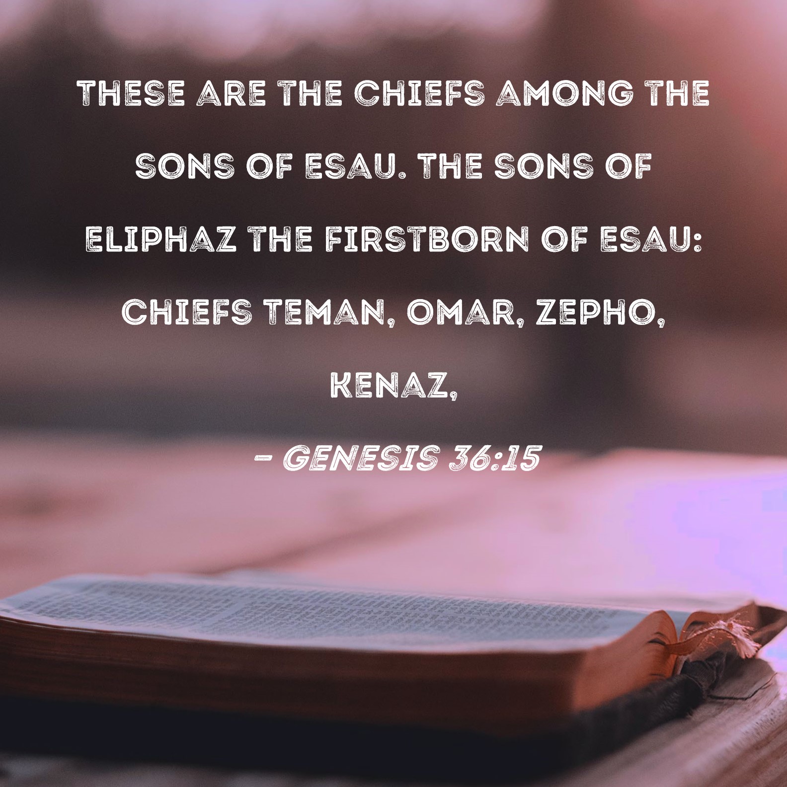 genesis 36 kjv