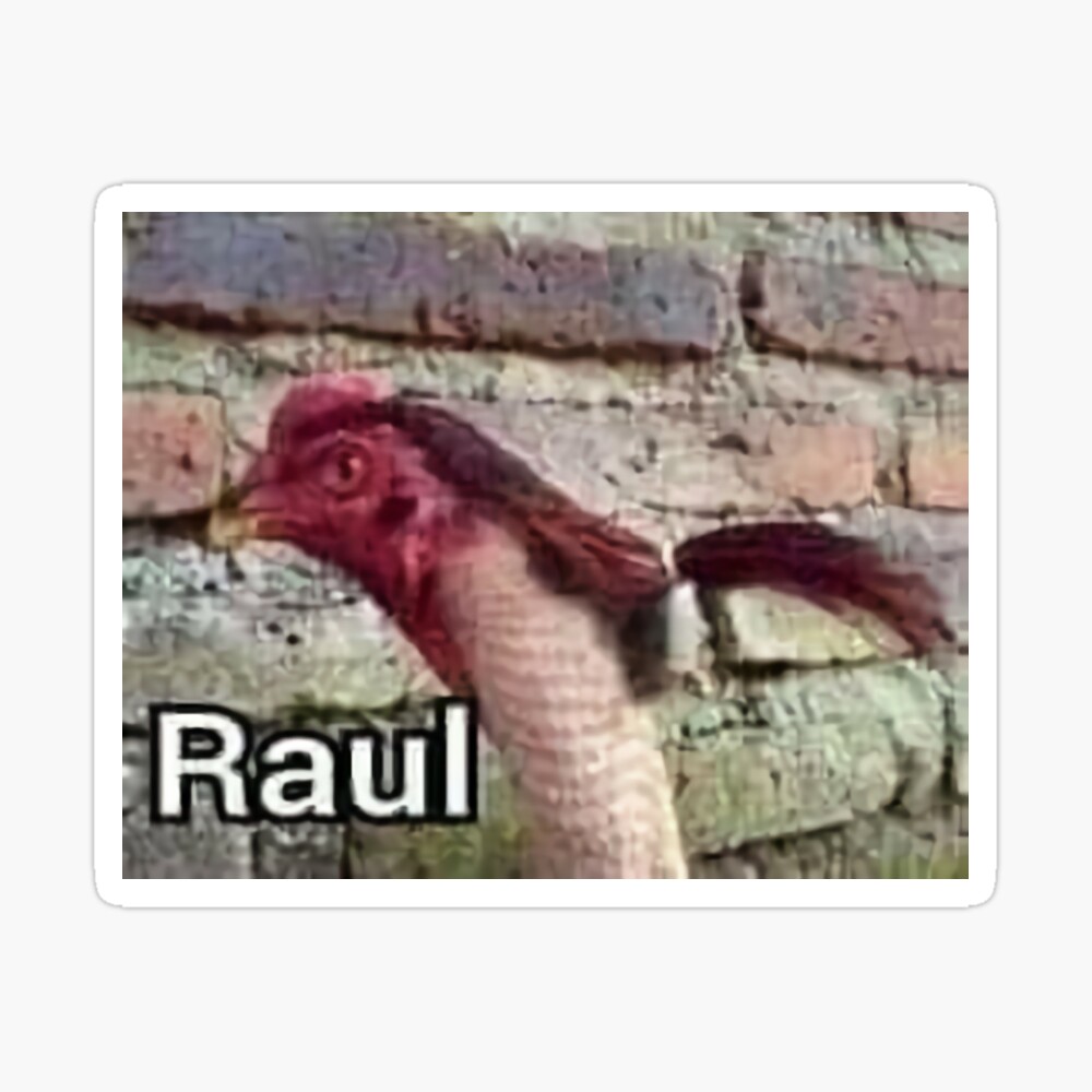 raul meme