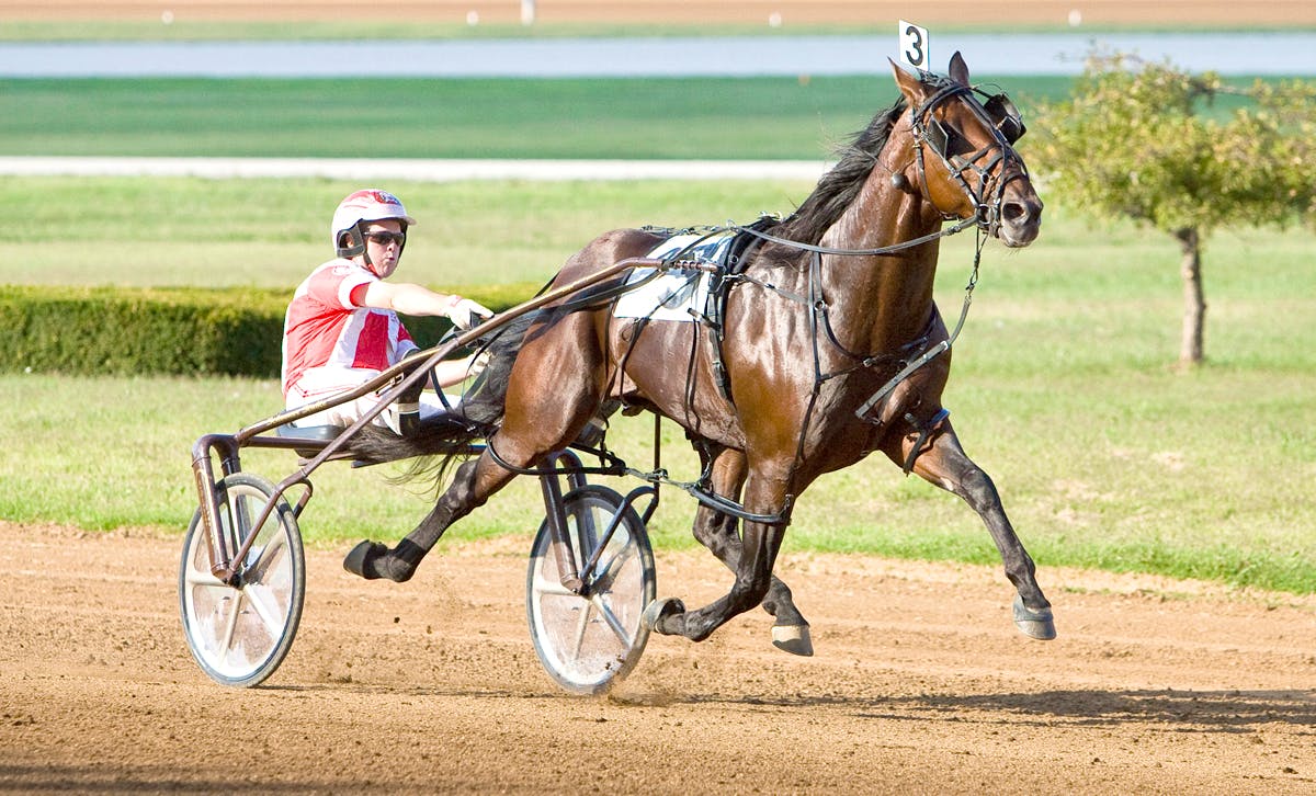 standardbred canada