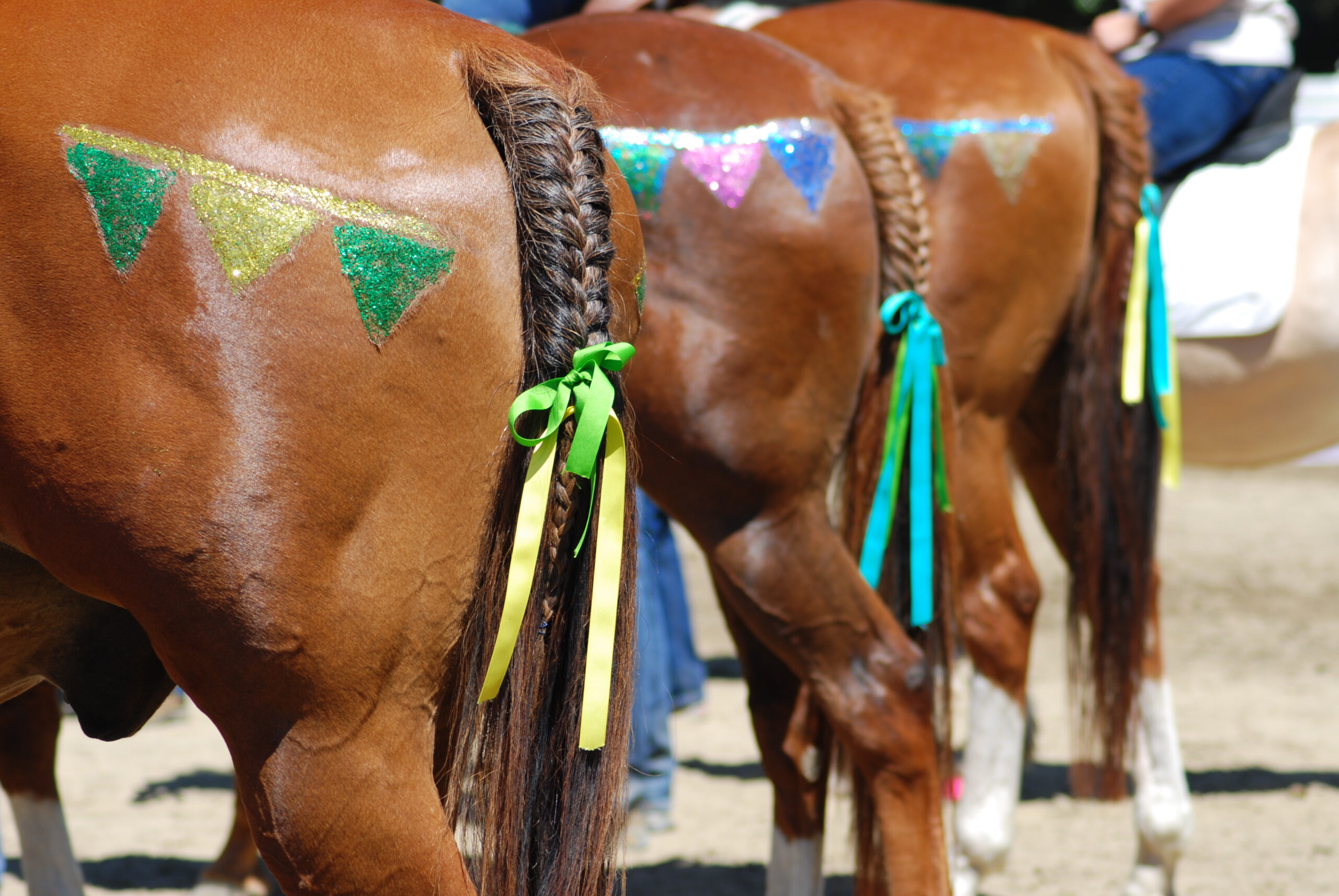 reins fallbrook