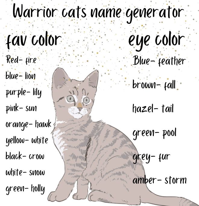 warrior cats name ideas