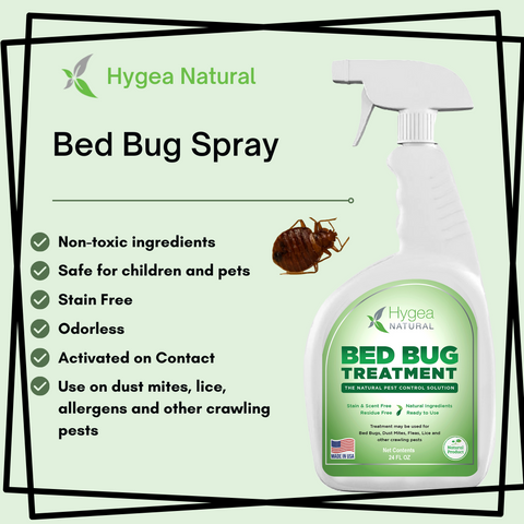 homemade bed bug spray