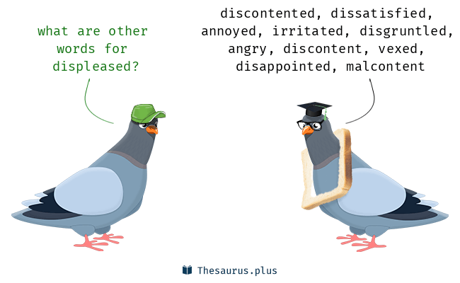 displeased synonym