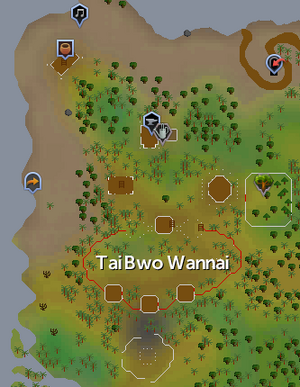 tai bwo wannai fairy ring