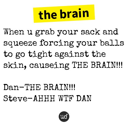 brain urban dictionary