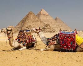 egypt tour packages from chennai