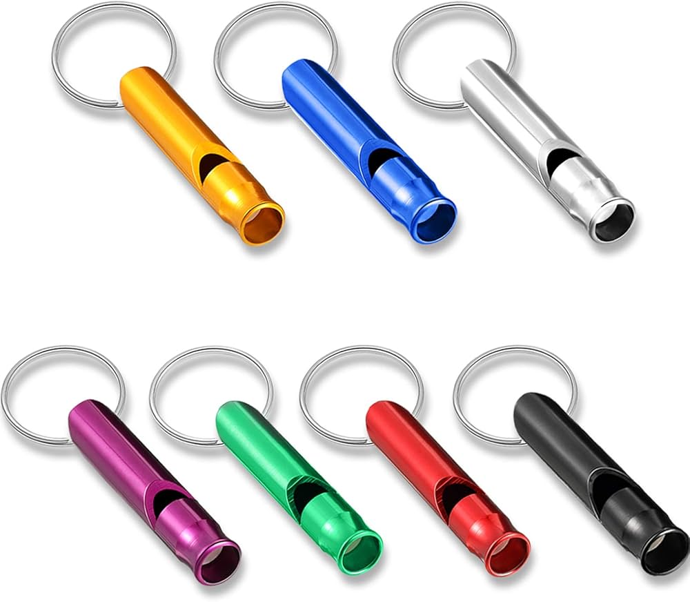 whistle keychain