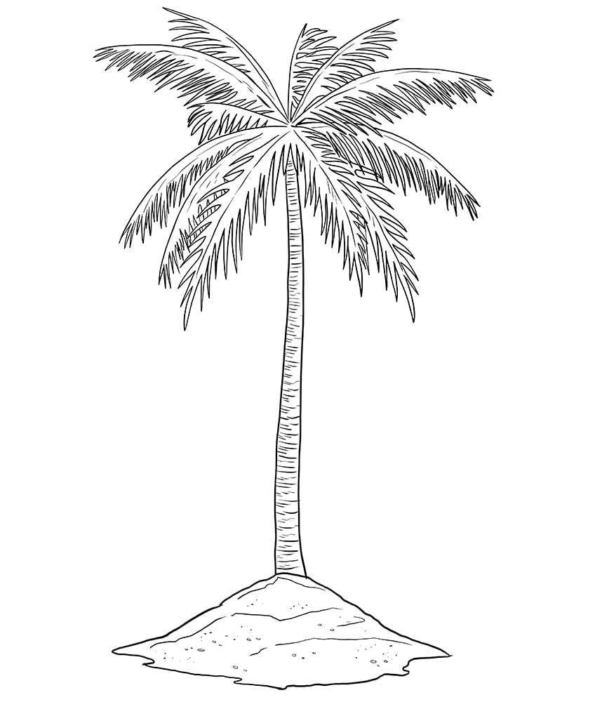 palm tree sketch easy