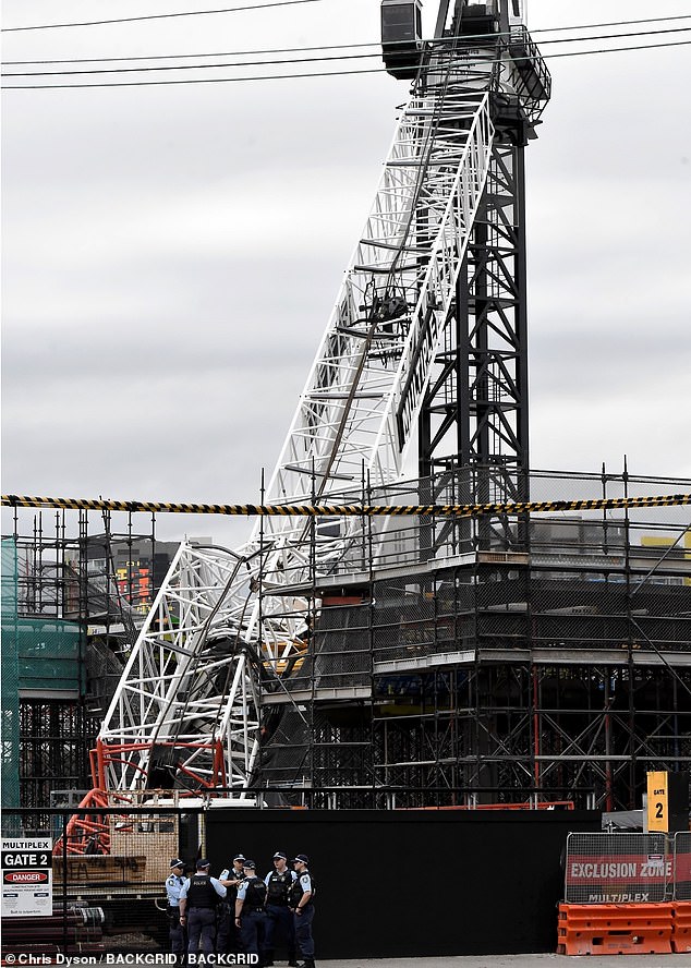 multiplex tower crane collapse