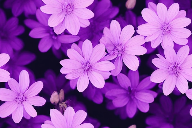 floral violet background