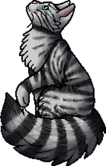 warrior cats feathertail