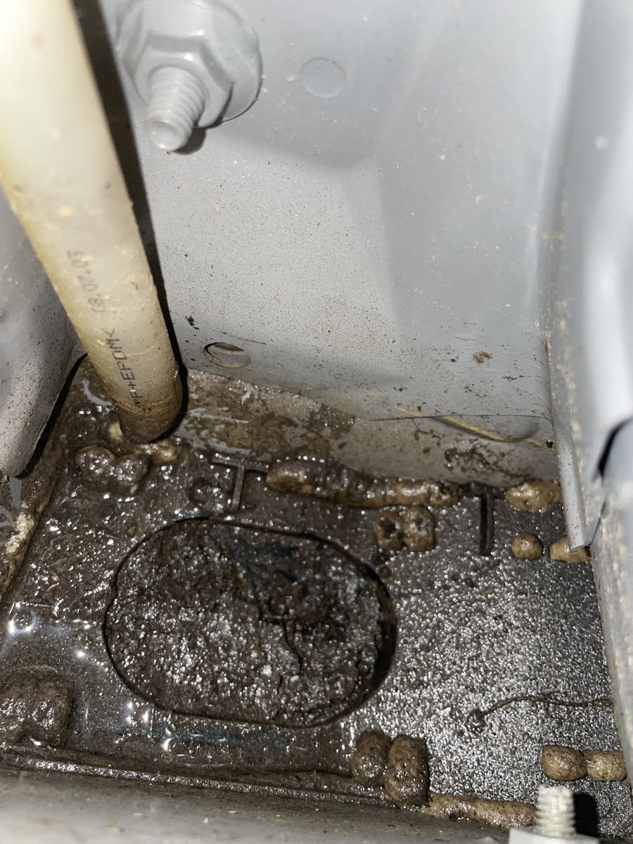 toyota highlander water leak passenger side