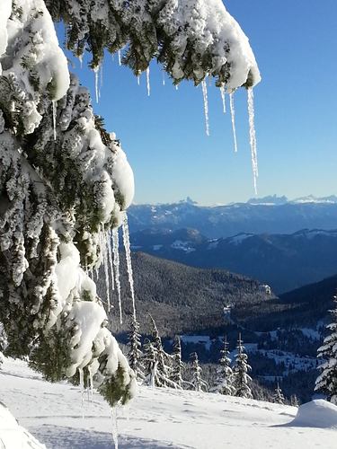 sasquatch snow forecast