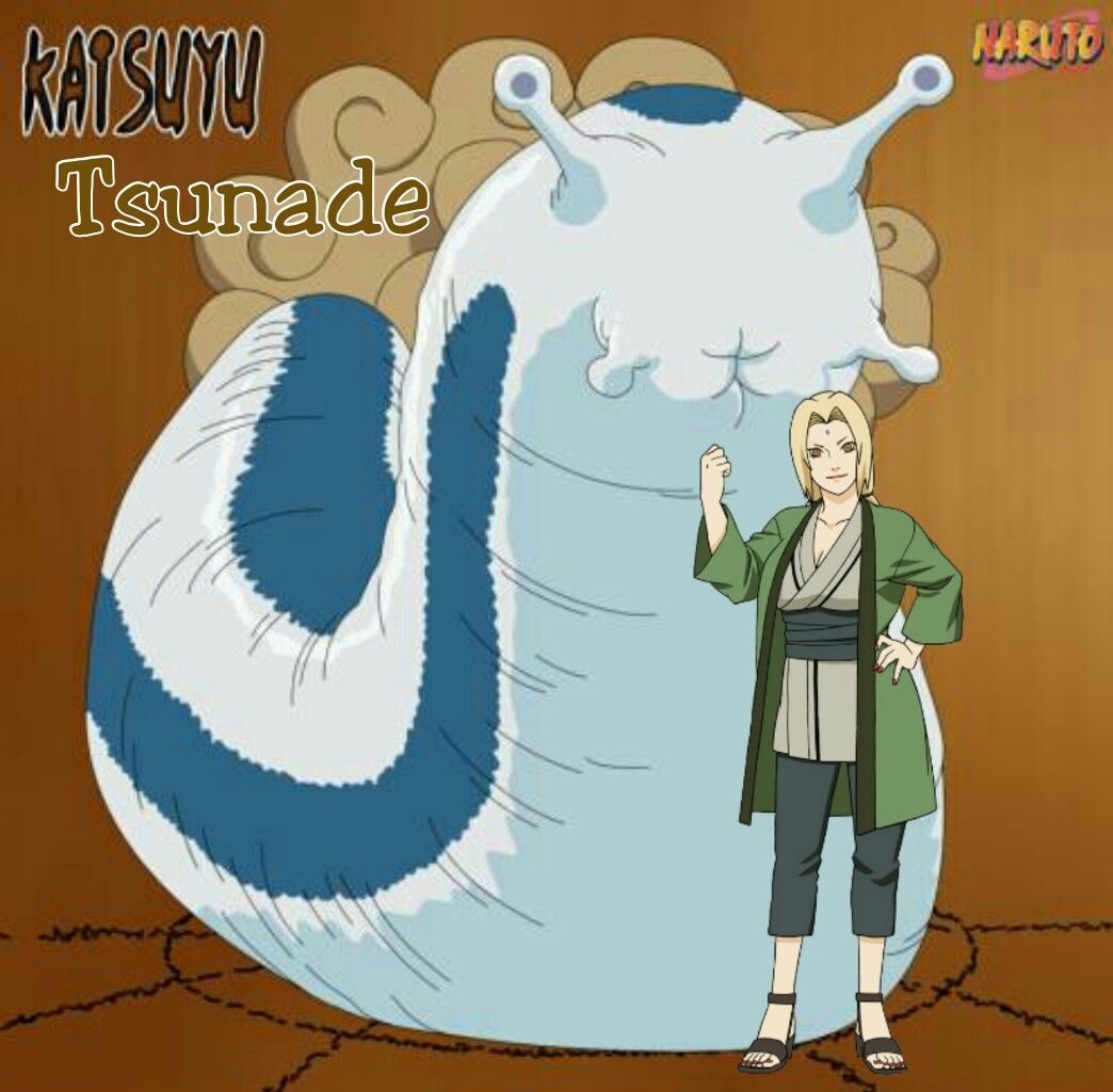 tsunade and katsuyu