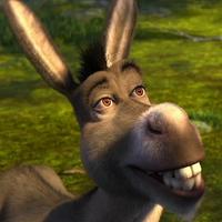 donkey mbti