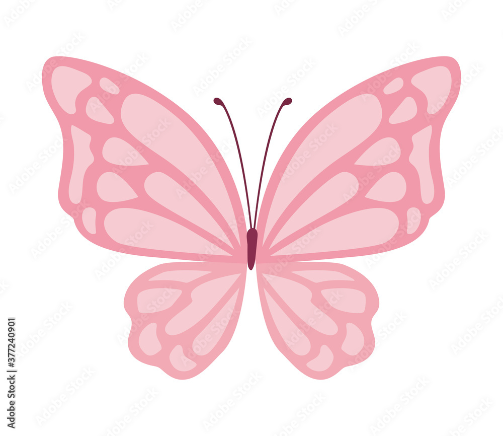 butterfly vector pink