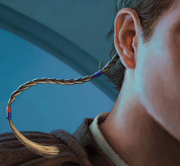 jedi knight braid