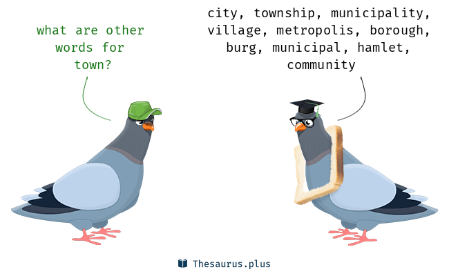 town synonym