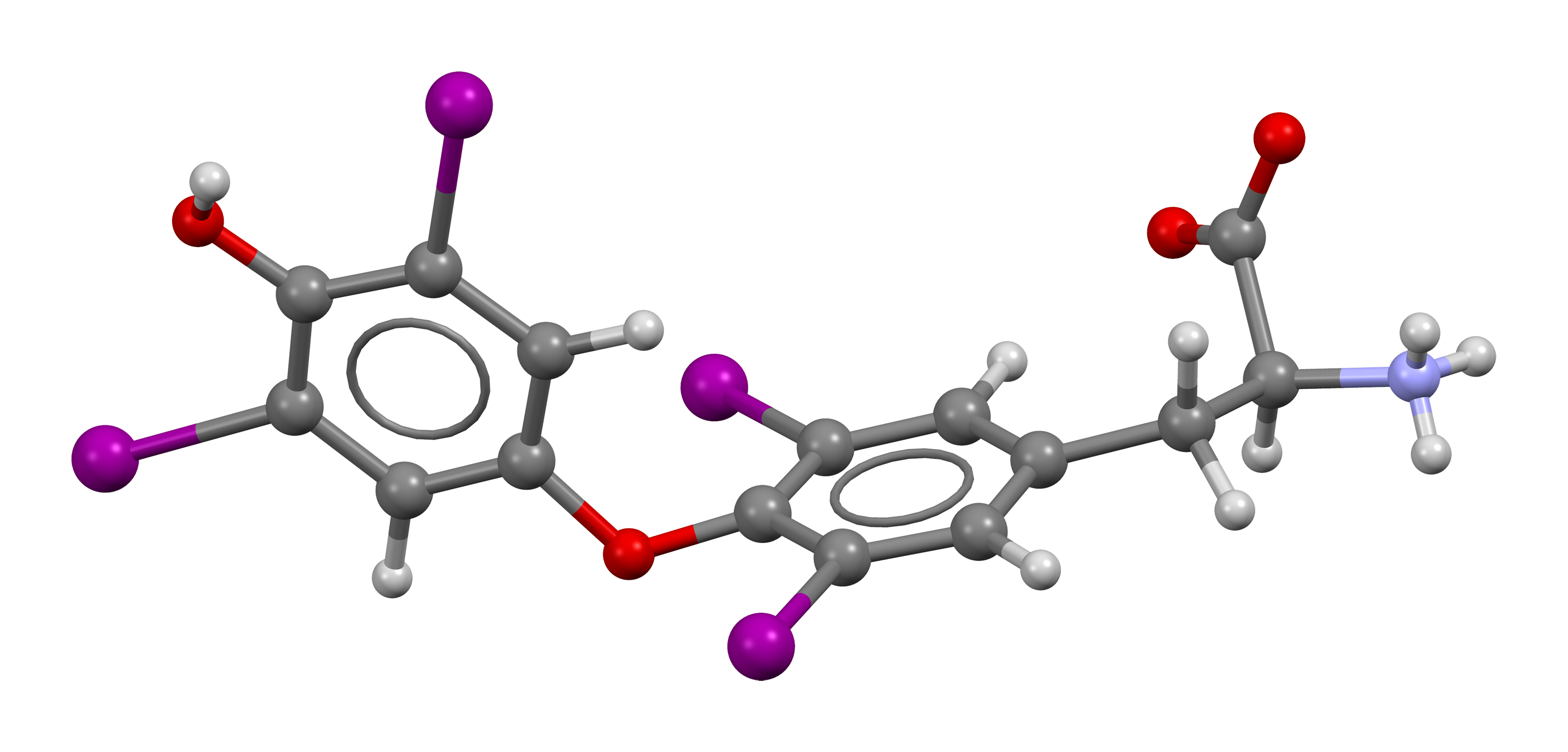 levothyroxine webmd