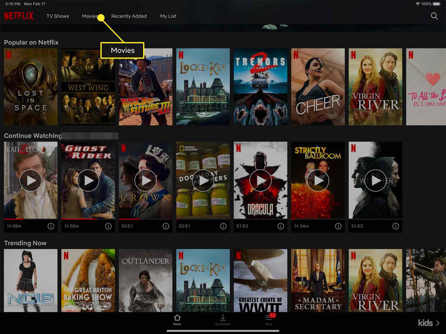 download movies from netflix on laptop