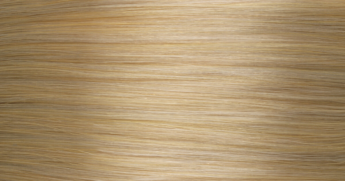 cornsilk hair color