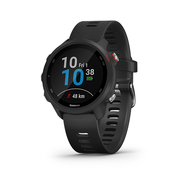 garmin 245 price in india