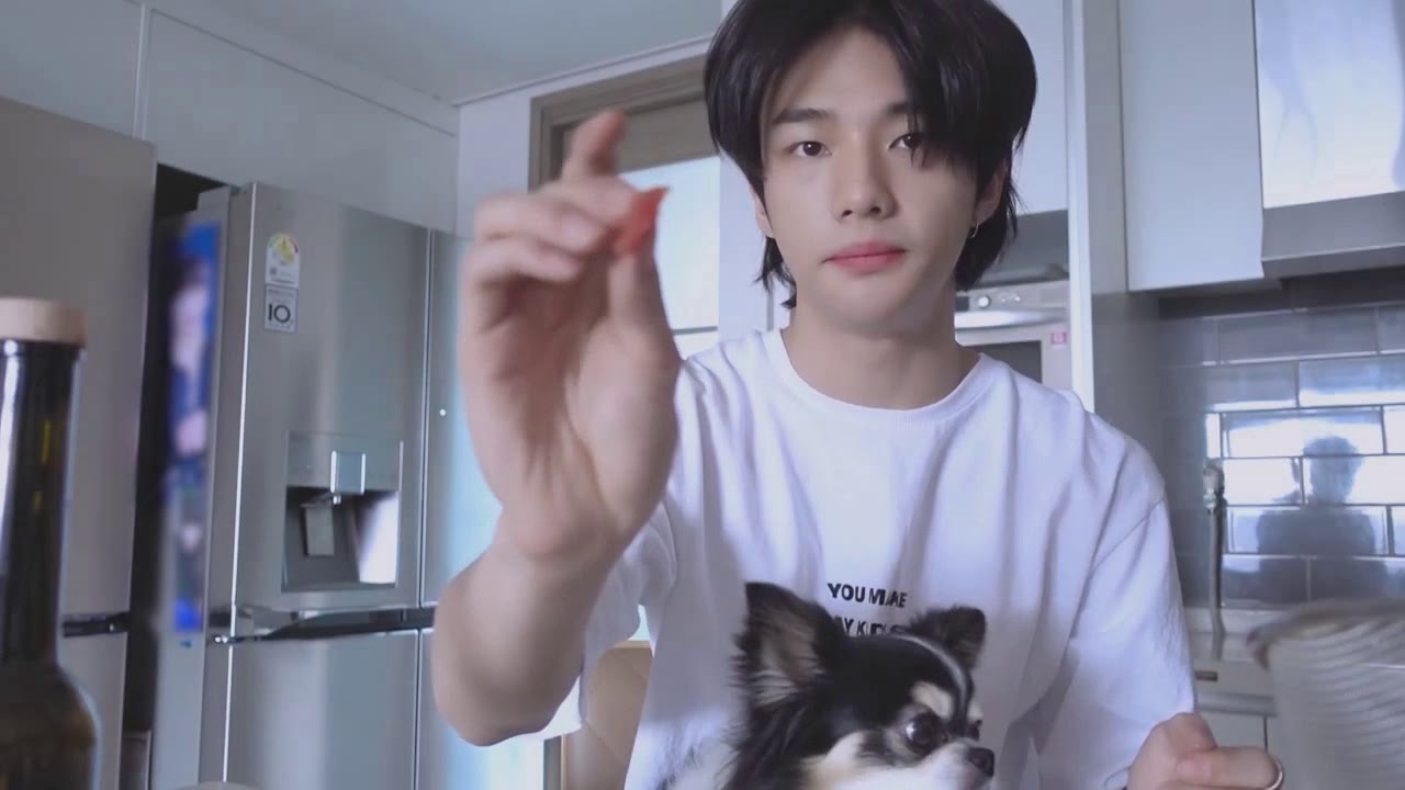 hyunjin dog