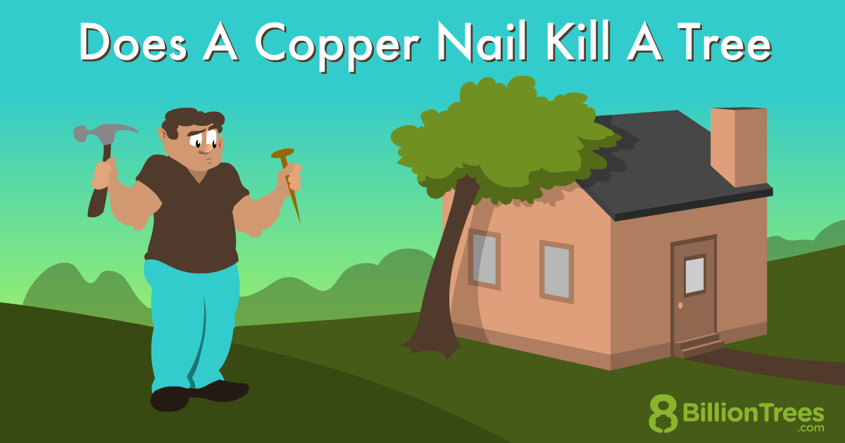 killing tree stumps copper nails