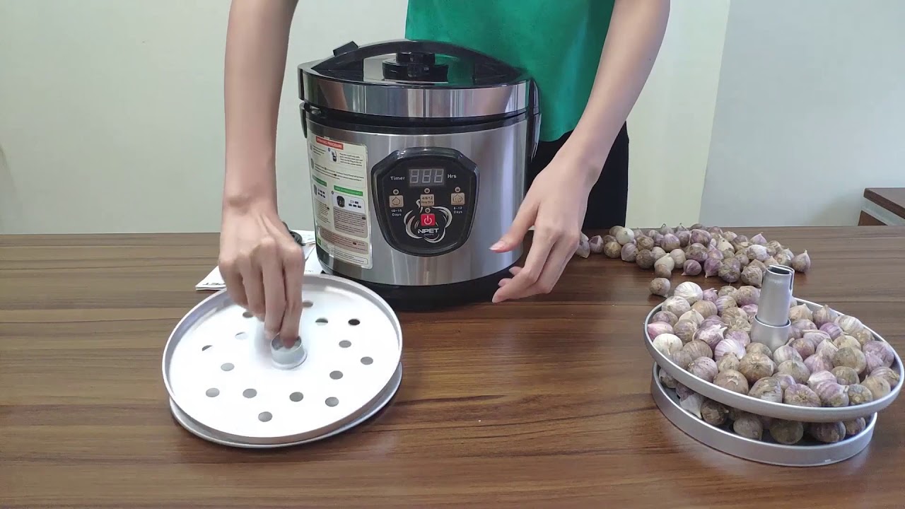 how to make a black garlic fermenter