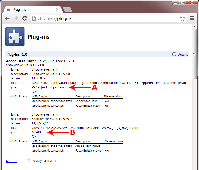 ppapi plug in