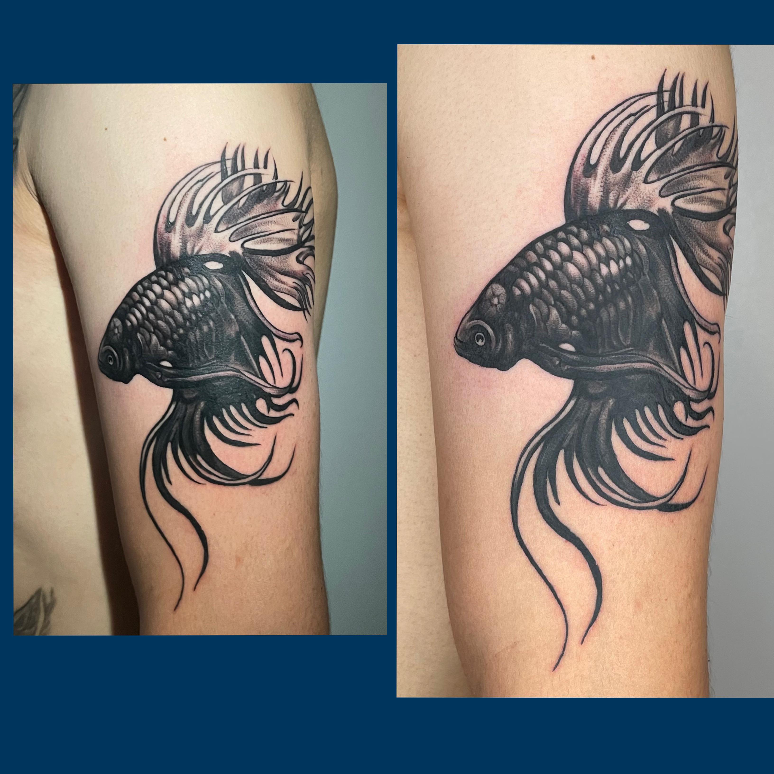 betta fish tattoo