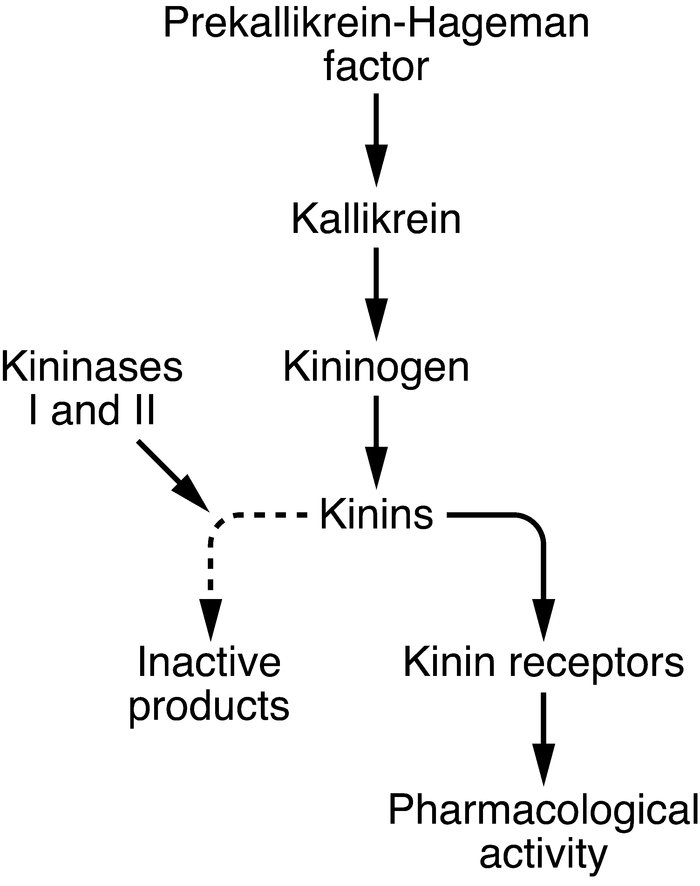 kallikrein