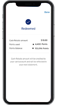 citibank rebate card balance