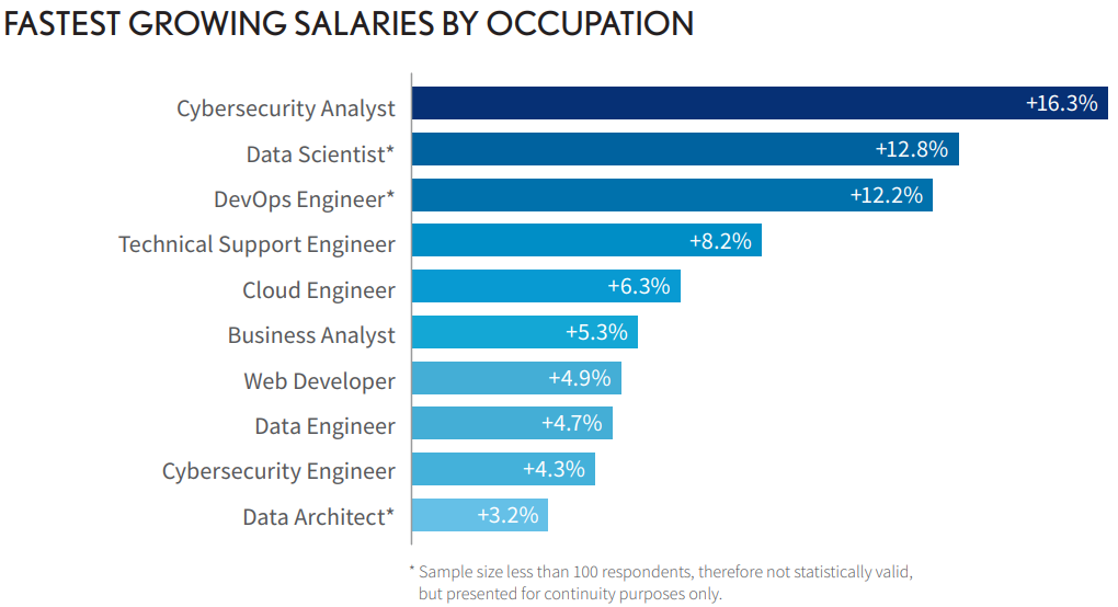 cyber security consultant salary