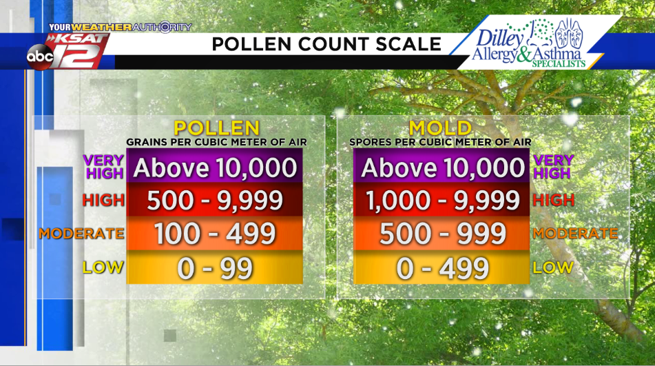 allergies today san antonio