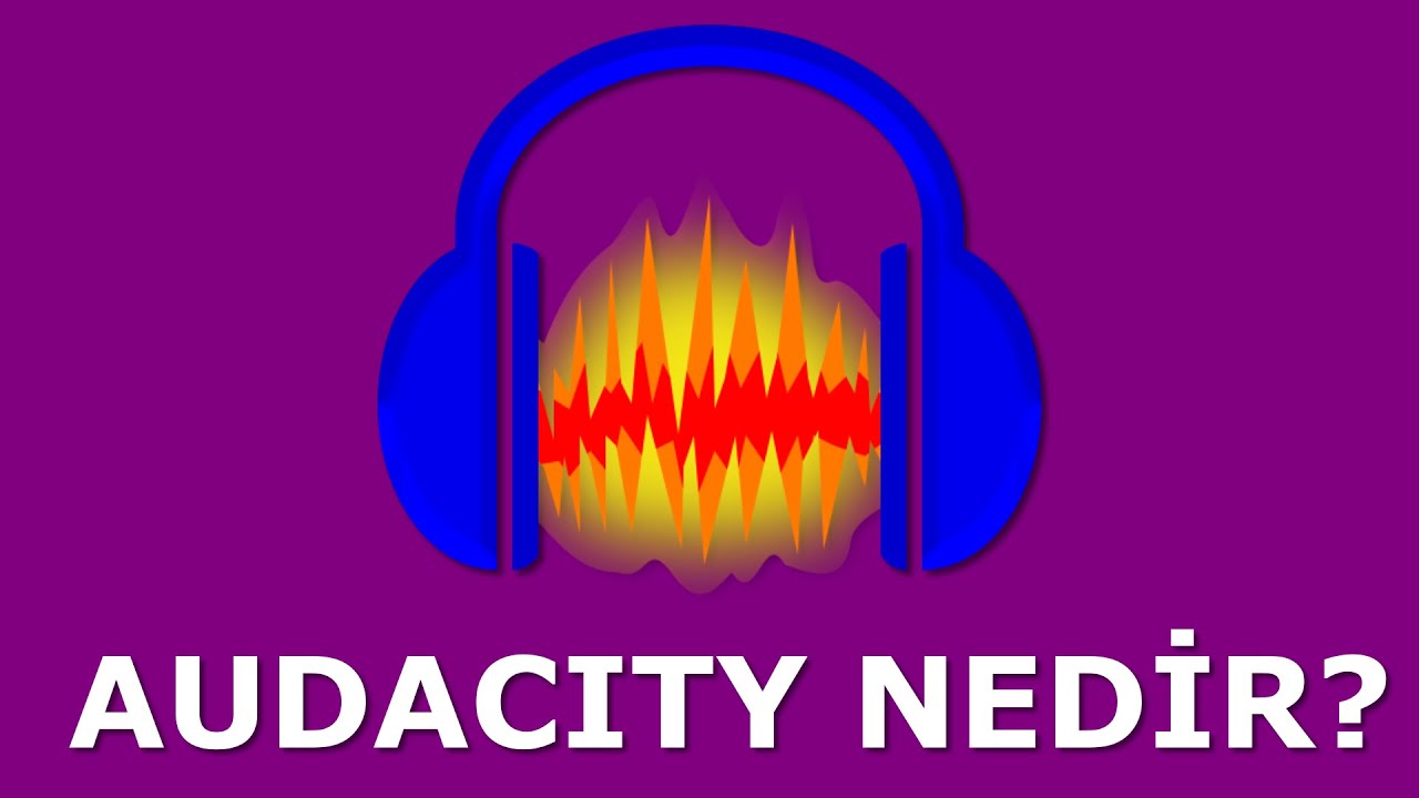 audacity ne demek