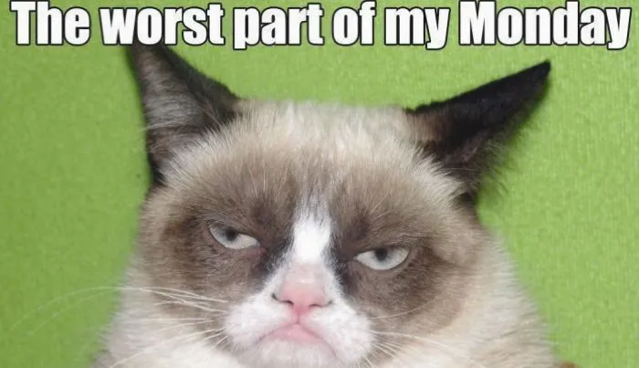 grumpy cat good meme