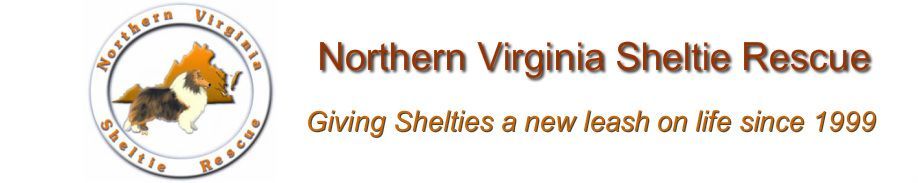 northern virginia sheltie rescue
