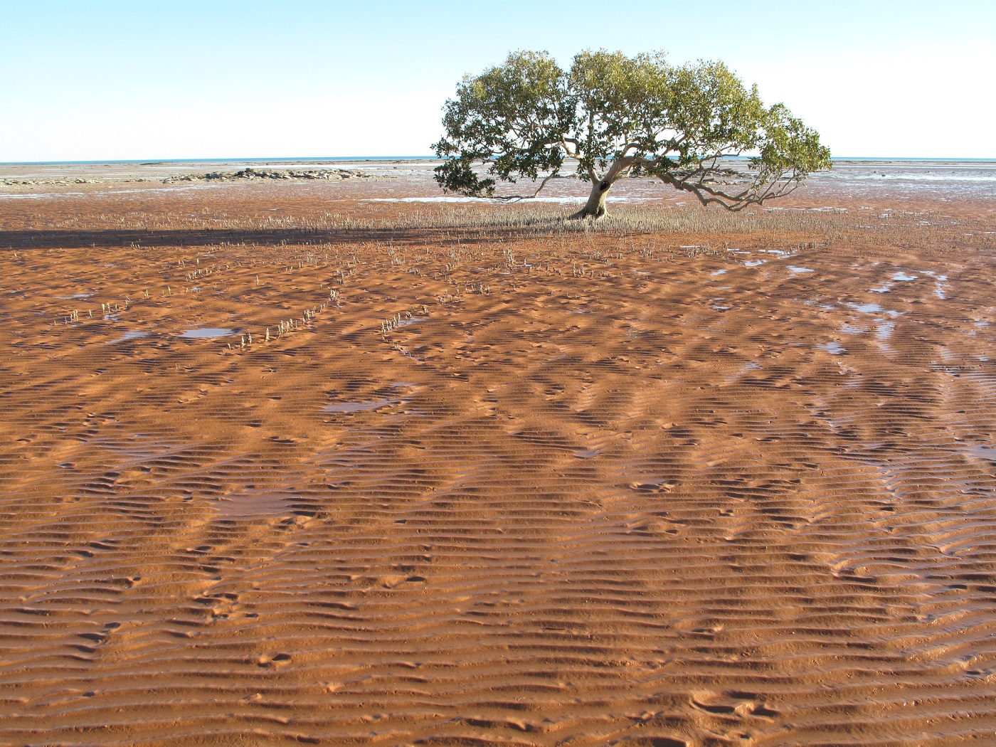 high tide broome today