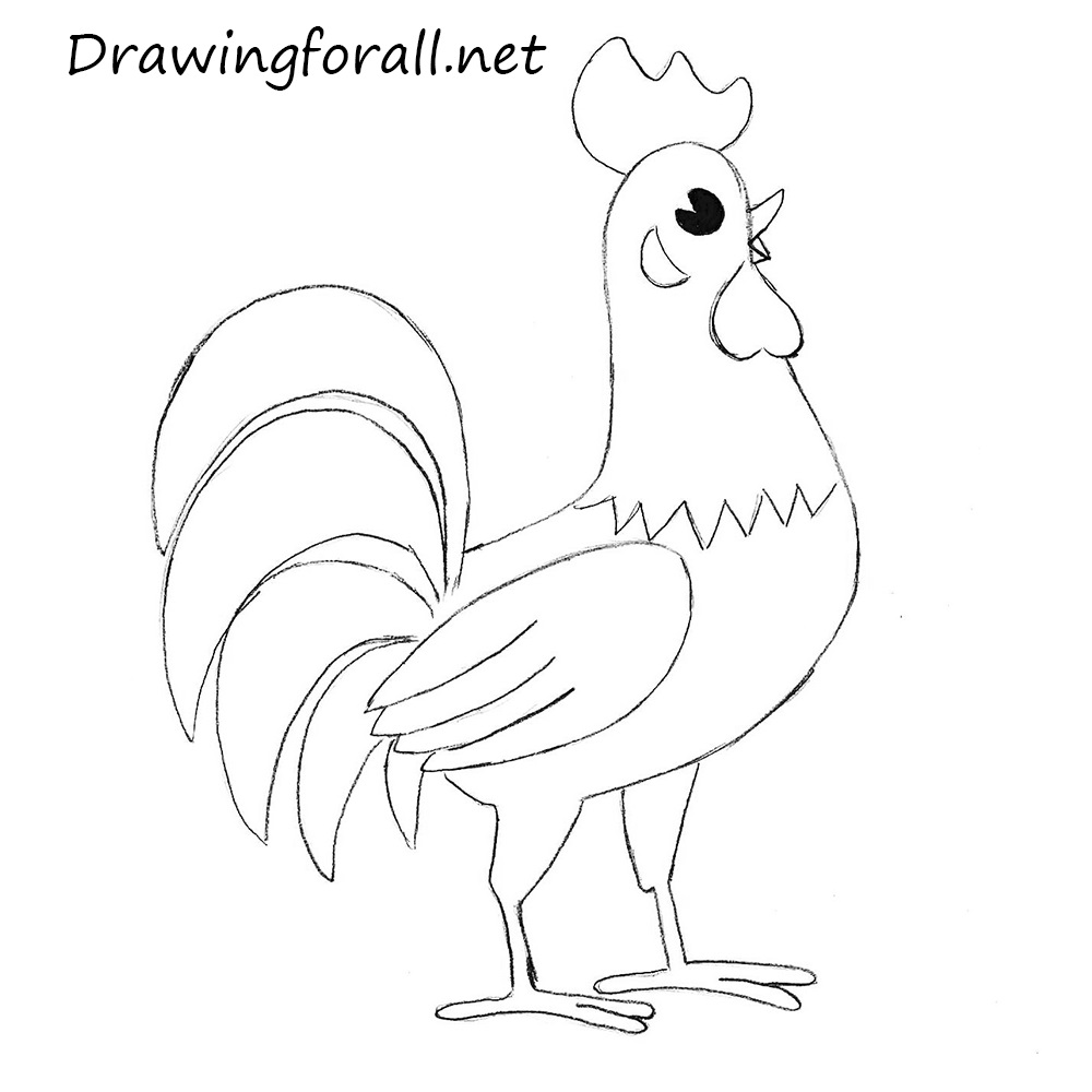 easy cock drawing