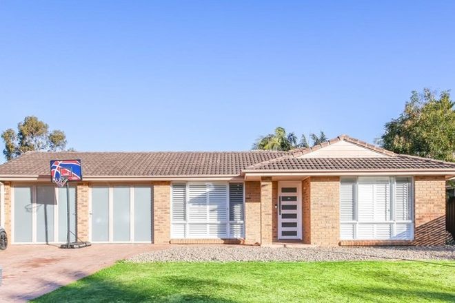 houses for rent in narellan