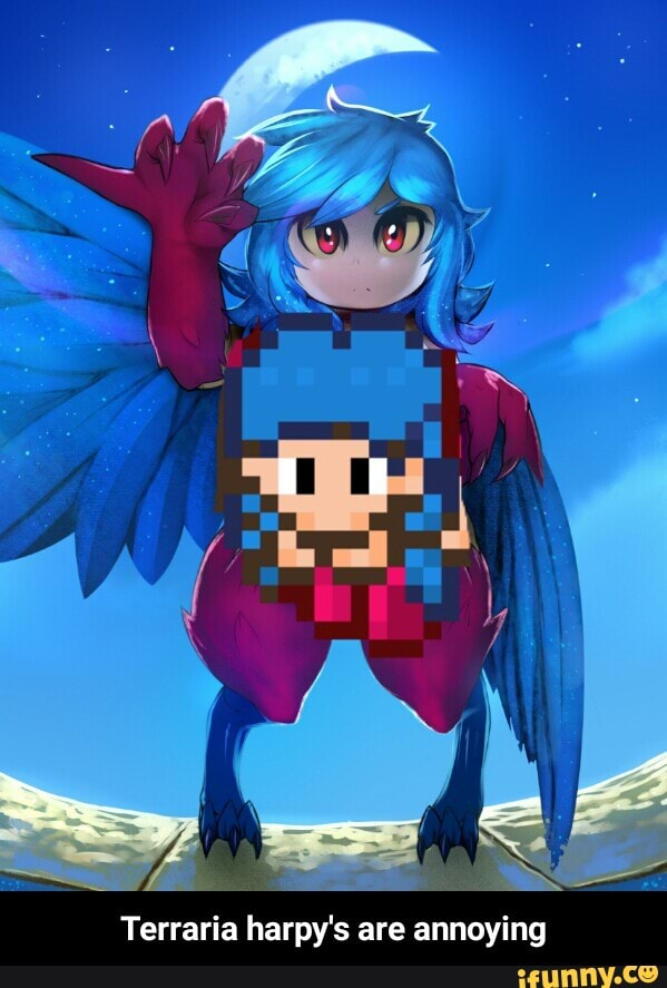 terraria harpy