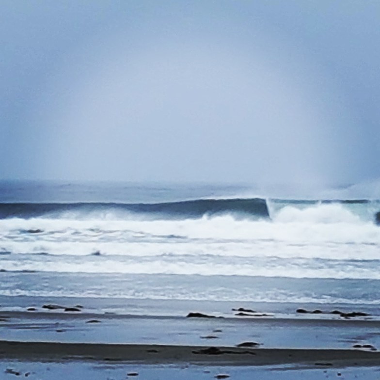 wave forecast tofino