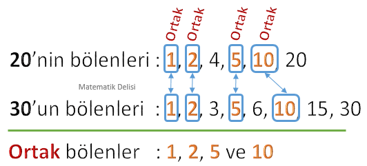 18 bölenleri