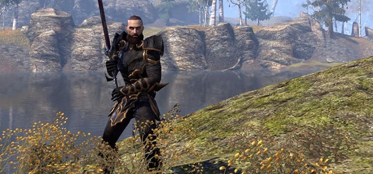 elder scrolls online two handed build