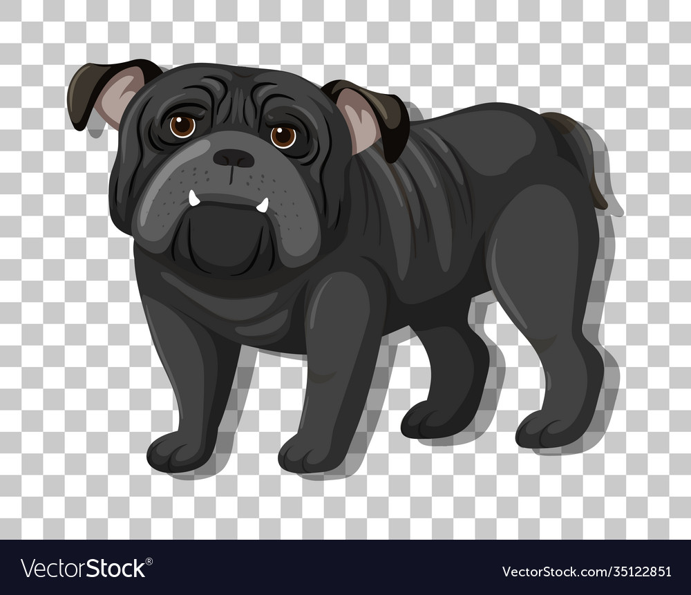 bulldog cartoon images